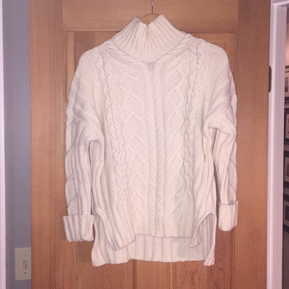 Everlane fishermen turtleneck sweater